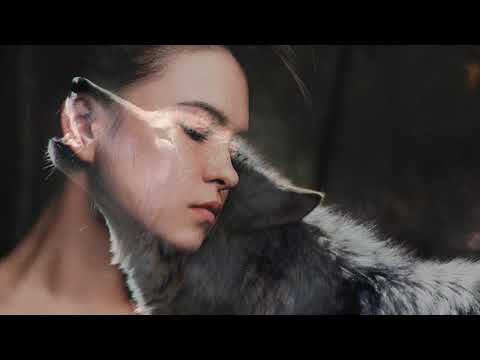 Boektrailer: In de ban van de wolf - Christine Charliers