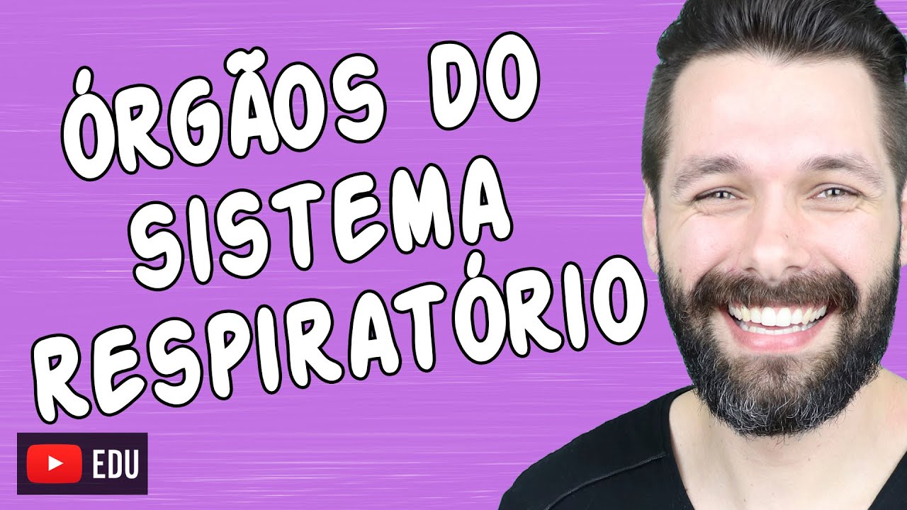 ÓRGÃOS DO SISTEMA RESPIRATÓRIO E SUAS FUNÇÕES | Biologia com Samuel Cunha