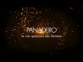 Panadero Sky EcoDesign poêle à bois 8,3kW | video 1