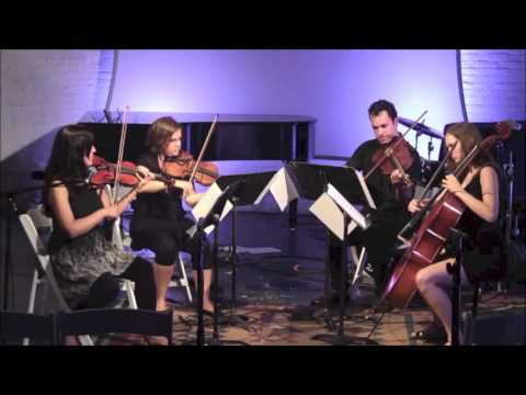 Promotional video thumbnail 2 for Ludovica Burtone
