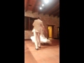 Kallmyer Wedding Dance--Feeling Good Again ...