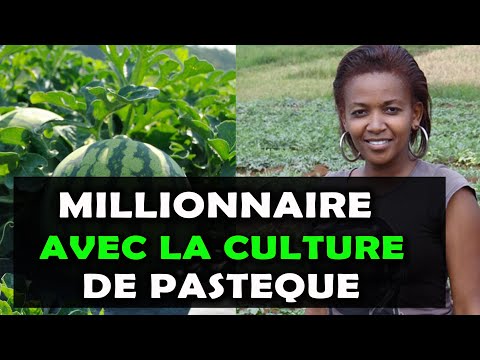 , title : 'Ann Nyaga: La dame qui gagne des millions grâce à la production des pastèques au Kenya [AGRICULTURE]'