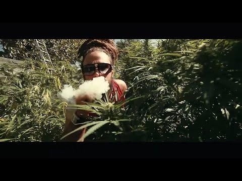 Ilements - Ganja Have To Burn (Official Music Video)