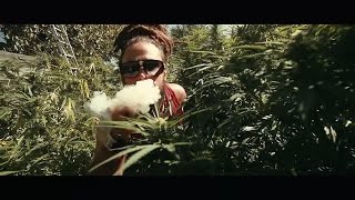 Ilements - Ganja Have To Burn (Official Music Video)