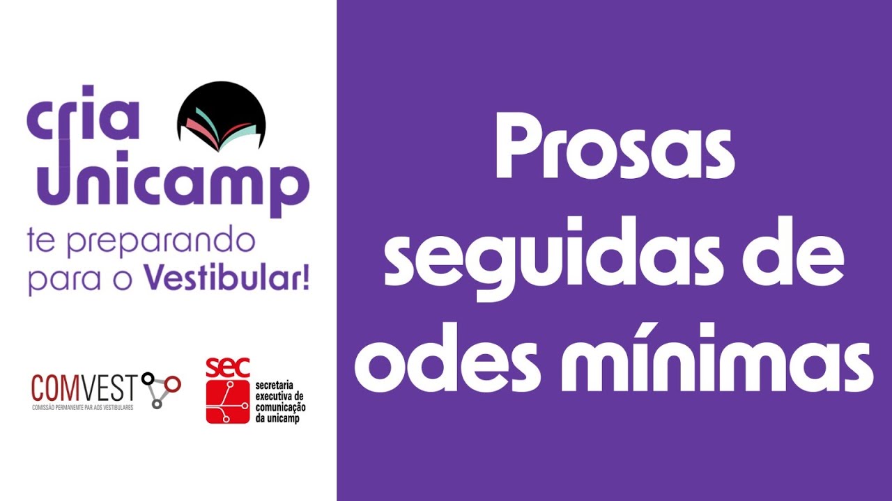 A sensibilidade, a ironia e o humor dos escritos de José Paulo Paes