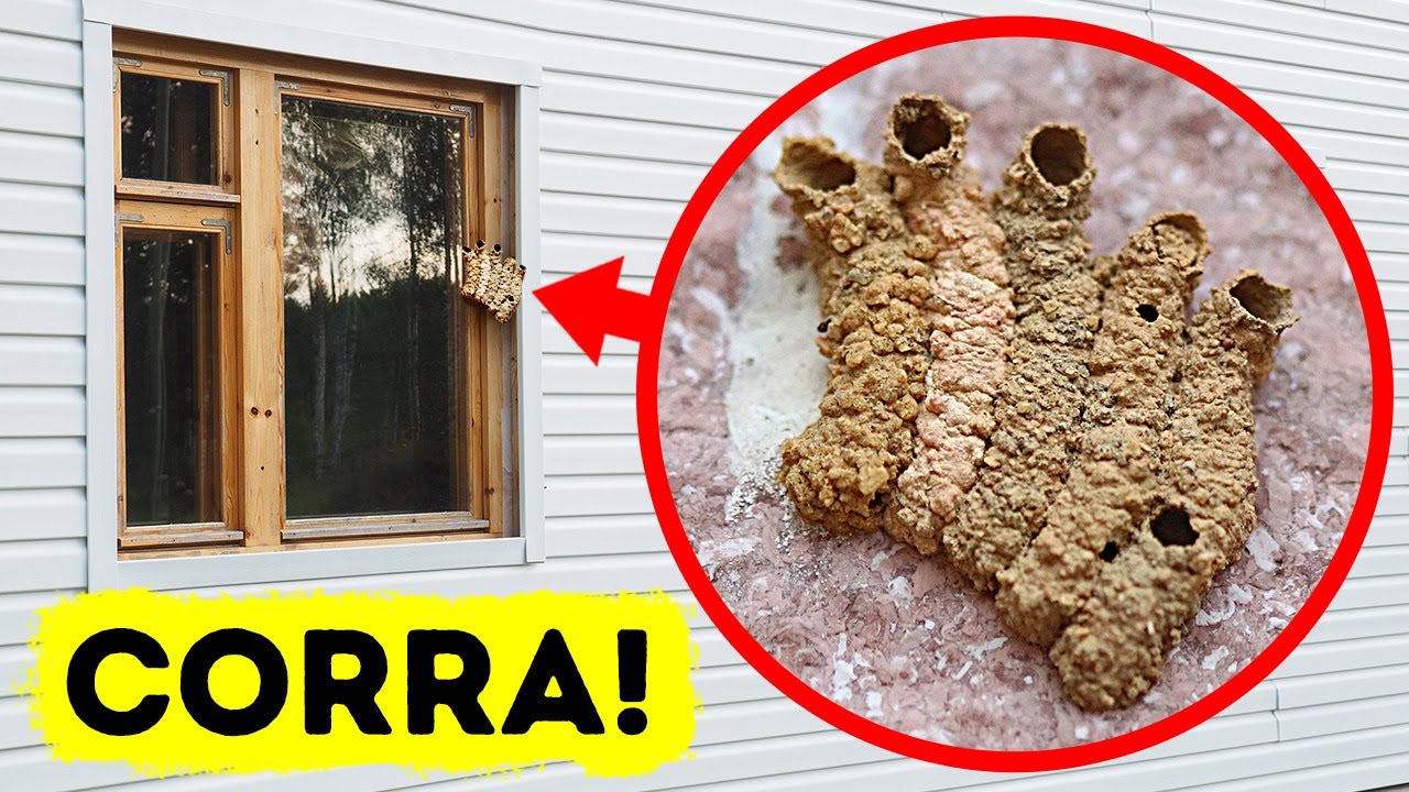 Isto Não é Lama, e Caso Você Veja, Corra!