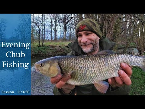 Small River Chub Fishing - After Work Session - 11/3/20 (Video 144)