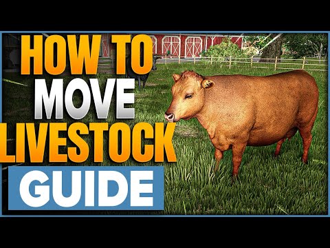 How To Move Livestock (Cows, Pigs, Horses etc) In Farming Simulator 25
