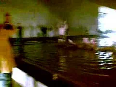 Falco Bajnoki fürdőzés