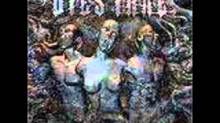 DIES IRAE-UNREVEALED BY WORDS