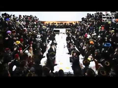 Purim 5782 With Nadvorna Rebbe