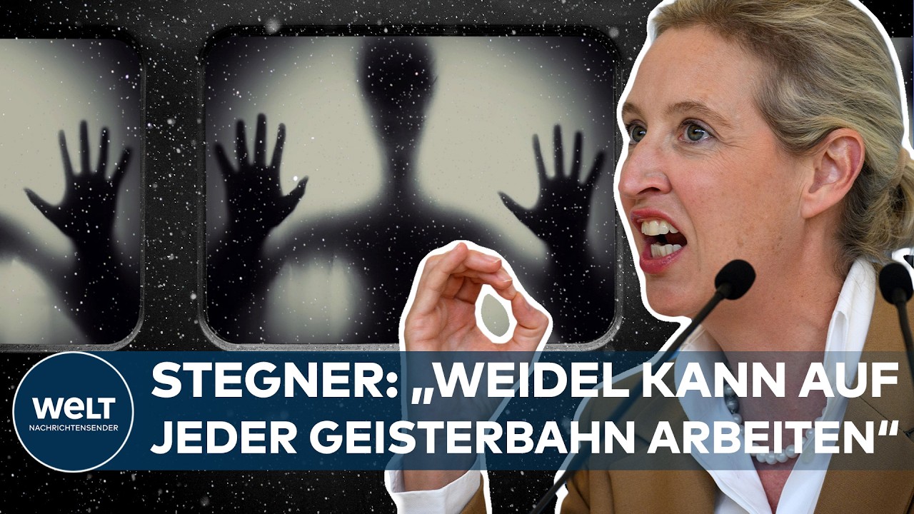 DEUTSCHLAND – Klartext gegen AfD: „Wer Brandmauern niederreißt, beteiligt sich an Brandstiftung!“