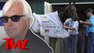 Bob Baffert: American Pharoah Isn’t The Highest Paid Stud! | TMZ
