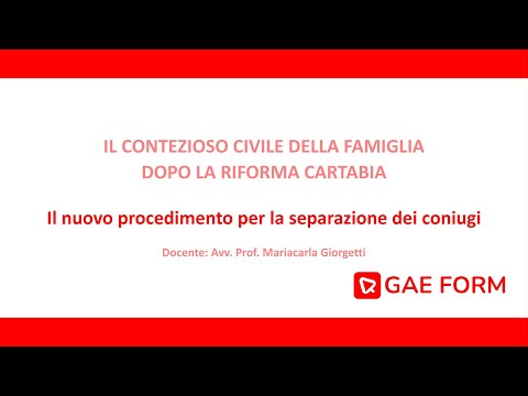 CORSO: IL CONTENZIOSO CIVILE DELLA FAMIGLIA DOPO LA RIFORMA CARTABIA