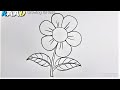 How to draw a easy Flower | Fuler sobi drawing | easy pencil drawing for beginners