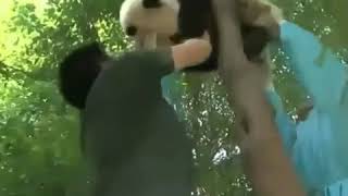 Download lagu Kata baba Hewan aneh versi onder spot😂 mp3 Download lagu Kata baba Hewan aneh versi onder spot😂 mp3