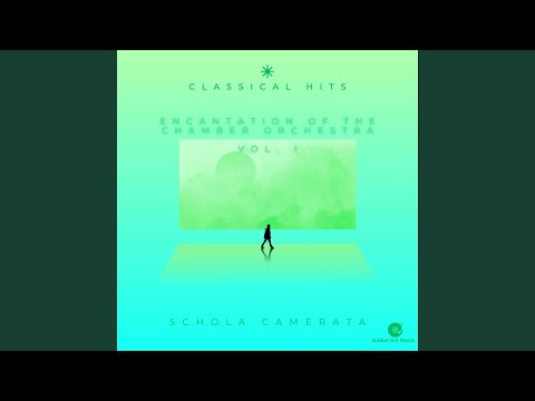 Concerto for Clavicembalo and Violiin in D - I. Allegretto