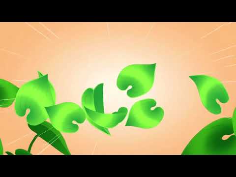 Fastest Shiny yet! Shiny Ponyta on Chain of 4 in Pokémon Brilliant Diamond