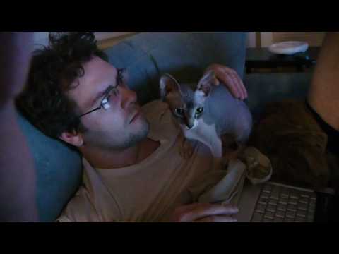 Dart (Sphynx) Loves His Daddy... More Than Anything!!!