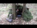 Building A Survival Shelter 