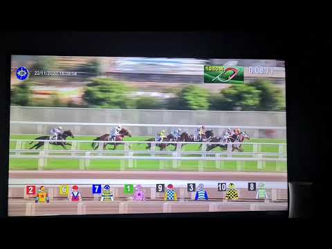 Hot king Prawn-hong kong racing-computer patch