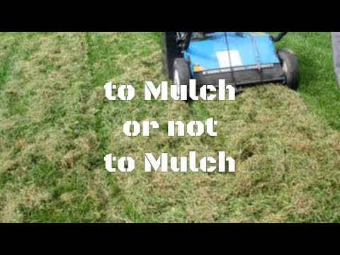マルチをするべきか、しないべきか - 芝生を袋に入れるべきでしょうか?