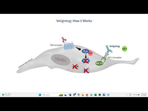 The Science Behind the New Thyroid Eye Disease (TED) ...