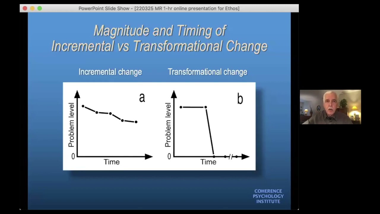The Brain's Process of Profound Change: A Primer on Memory Reconsolidation for Therapists - B. Ecker