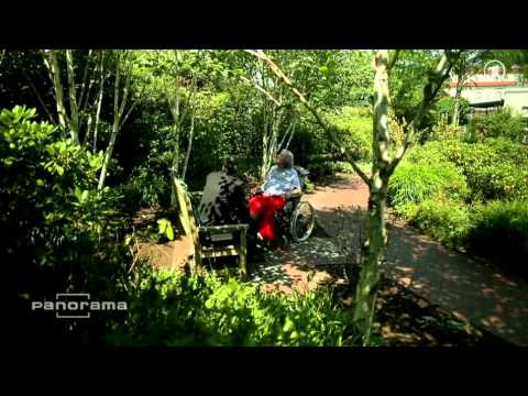 Panorama 25. September 2014 - Erbschleicher: Gefahren der Vorsorgevollmacht