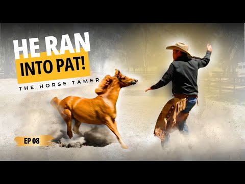 The Lunging Mistake That's Making Your Horse Dangerous | Ep. 8 The Horse Tamer (Lindy & Sedona)