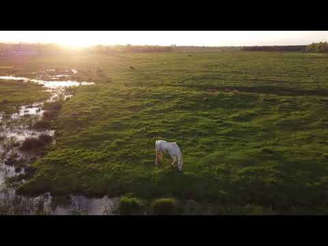 Luncasi apus de soare