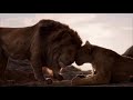 Lion King 2019 Circle Of Life Hebrew Subs Trans