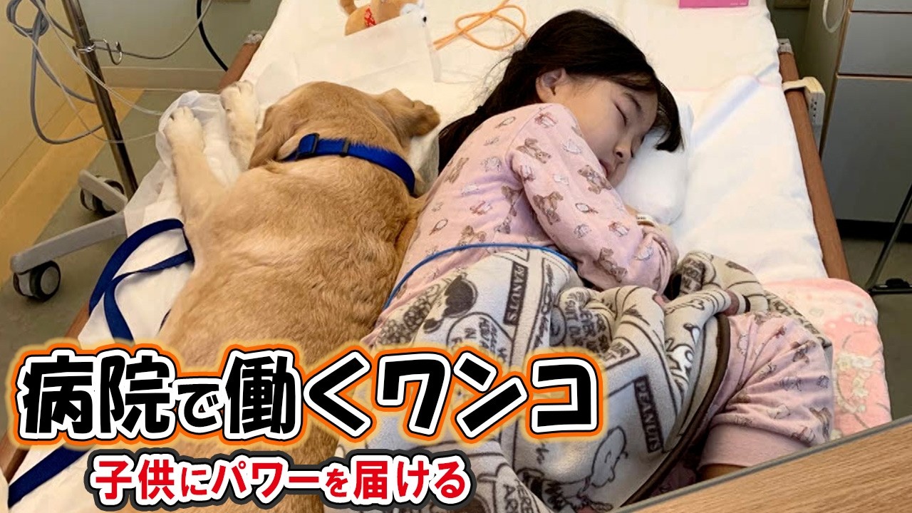 A dog that provides power to children who are fighting illness