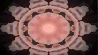 She Counts Up The Days (Steve Kilbey Remindlessness)