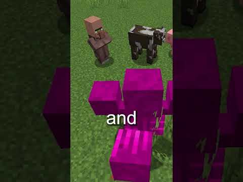 The Secret Pink Wither In Minecraft