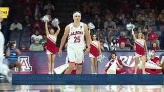 There may be more to the fraud case against former UA basketball star Kerr Kriisa