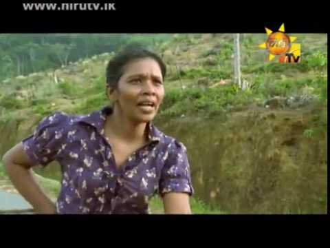 Hiru TV