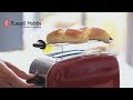 Russell Hobbs 23330-56 - відео