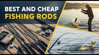 TOP 5 Best And Cheap Fishing Rods 2026 | Testing The Cheap Fishing Rods For Beginners