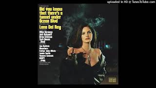 Lana Del Rey - Paris, Texas (Official Instrumental)