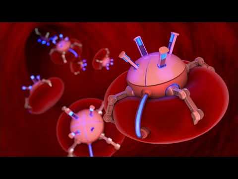 Niconé - Plesna Dvorana