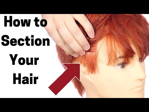 How to Section Your Hair - TheSalonGuy