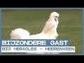 FUNNIEST | Bijzondere gast in Almelo
