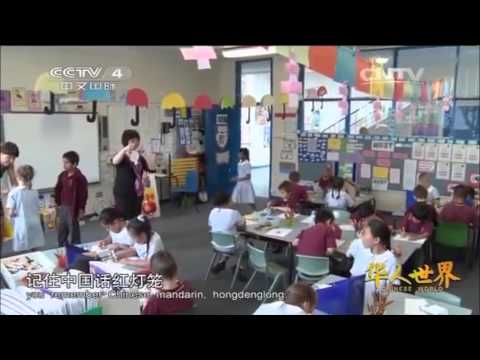 华人故事 | 张晋老师教中文，不一样的中国文化课 -CCTV-4《华人世界》播出版