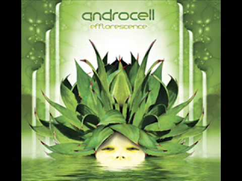Androcell - Process Of Unfolding