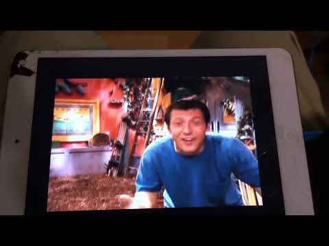 Turkey Vulture Flies In!!!