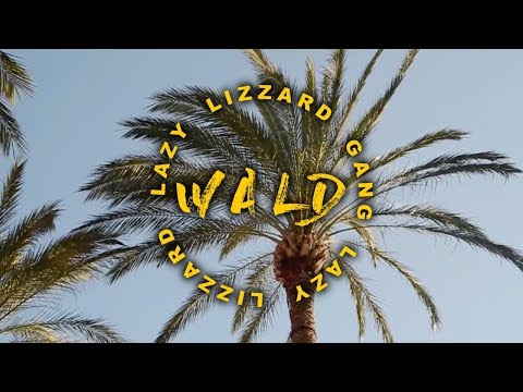 Lazy Lizzard Gang - Crocodile Ganja (prod. by Juicy Gay)