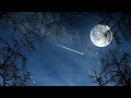 Pemandangan Langit Malam Yang Luar Biasa Indah