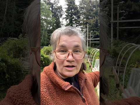 Easiest Raised Garden Bed - No Tools Needed