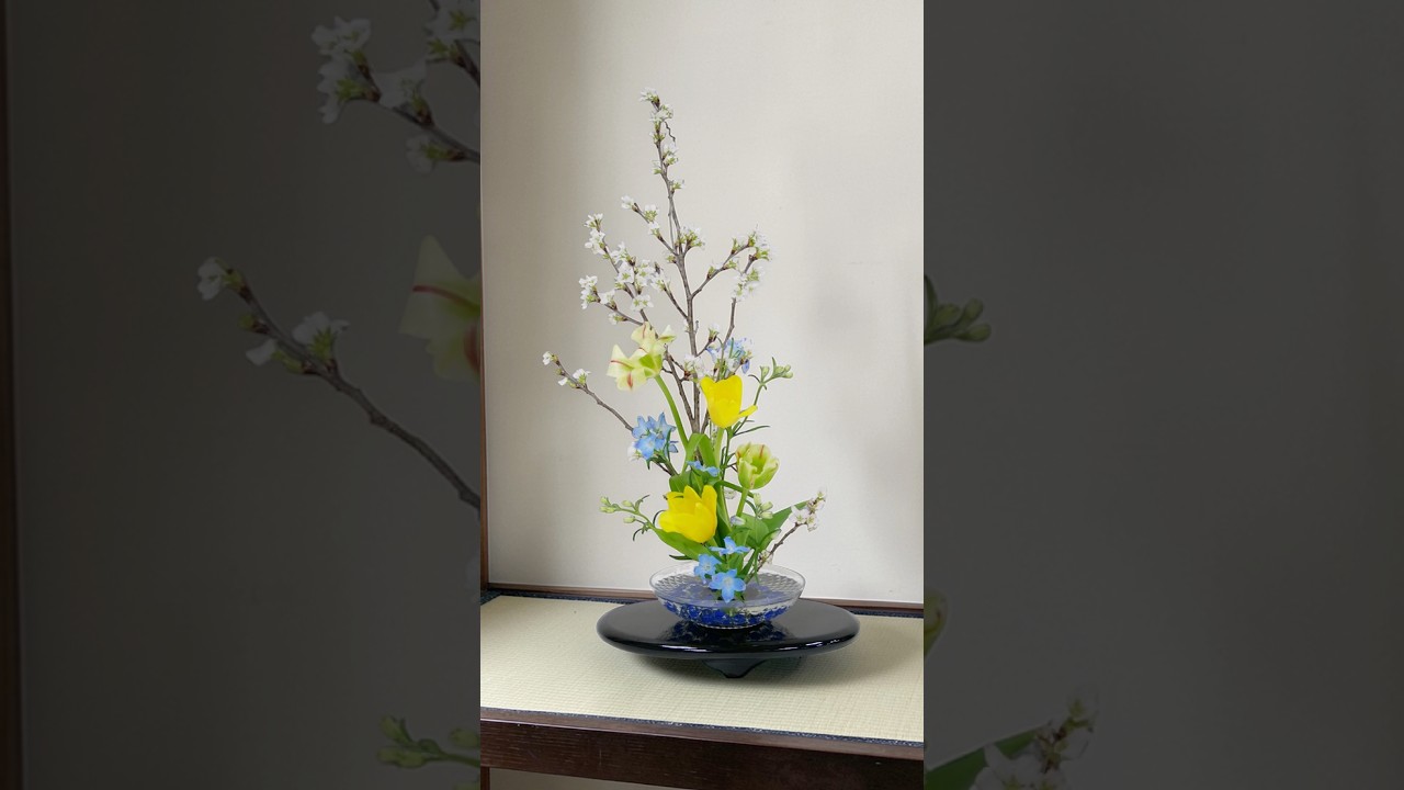 【春の王道】桜×チューリップで心を整える🌸 #生け花 #shorts